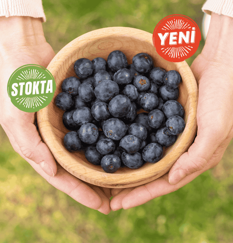 Taze Aronya 500 gr.