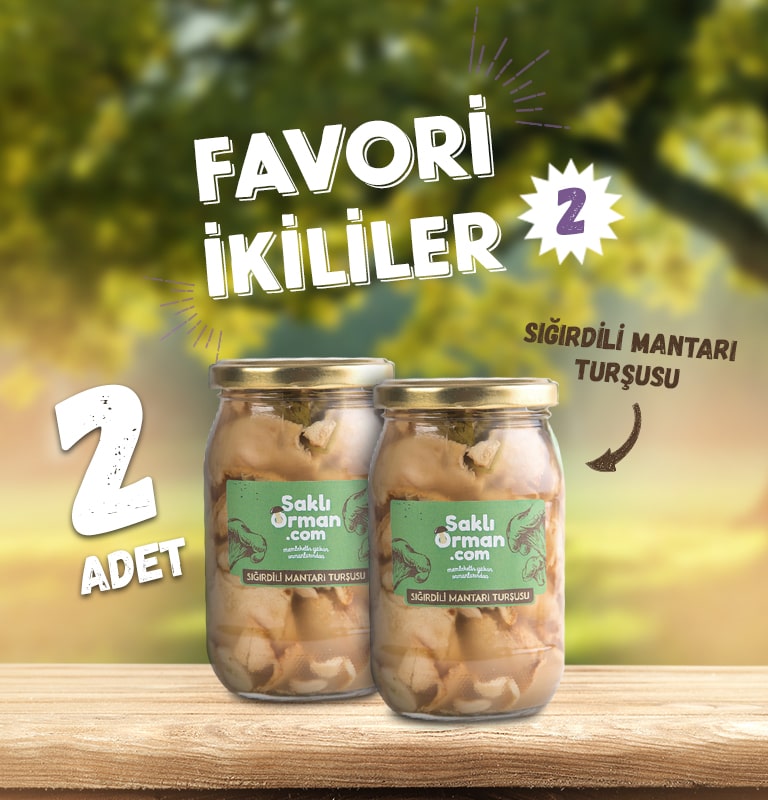 Favori İkililer - 2