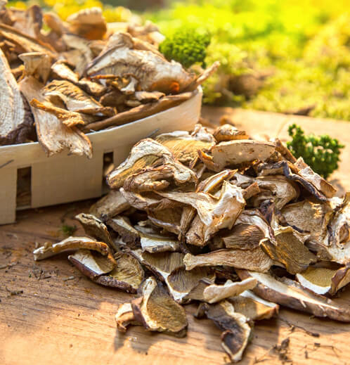 Kurutulmuş Porçini 500 Gr